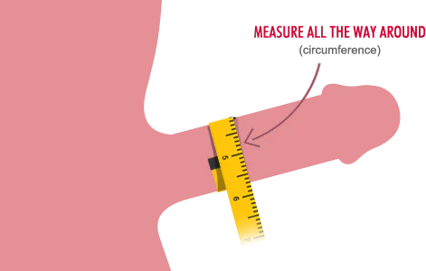 Illustration of how to measure the thickness of the erect penis